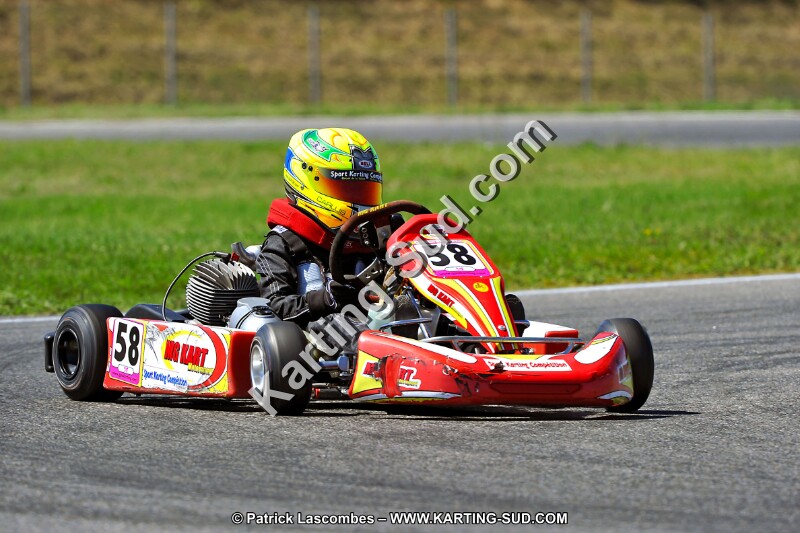 DSC_ (1537).jpg